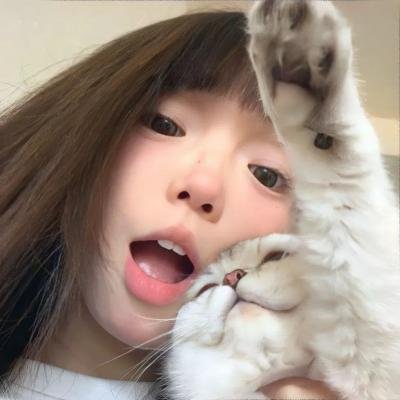 画布情缘